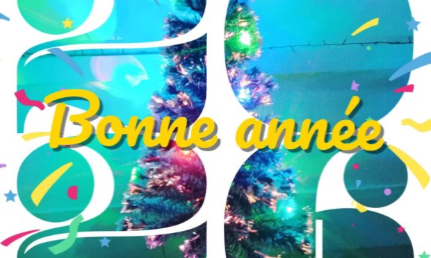 Petition : Interpellation sur les conditions de prise en charge par les SAAD (Les Services d'aide et d'accompagnement à domicile)