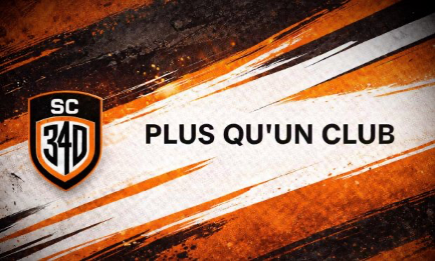 Petition : Pour la création d’un terrain synthétique à Villeneuve-la-Guyard