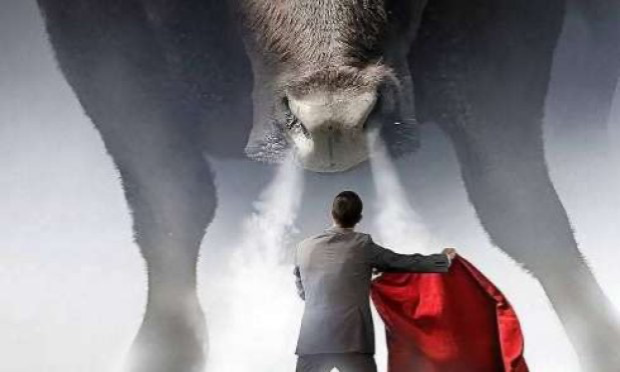 Petition : Pour l'interdiction des écoles privées de tauromachie en France