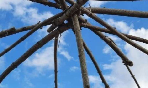 Petition : La démocratie ne se défend pas seule : restons vigilants !