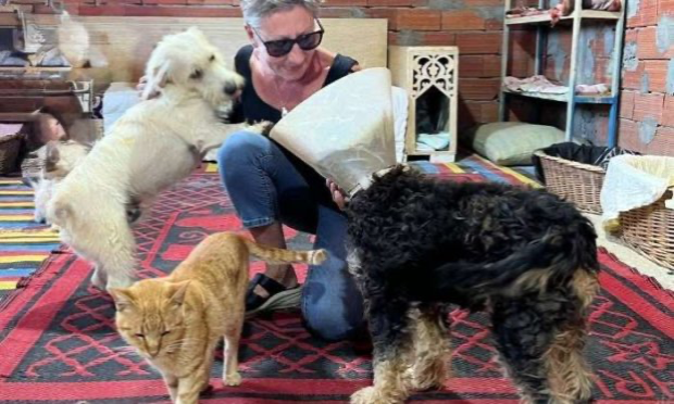 Petition : GRAND SOS – Sauvons les 200 chiens et chats du refuge Un Cœur sur Pattes (Mahdia, Tunisie)