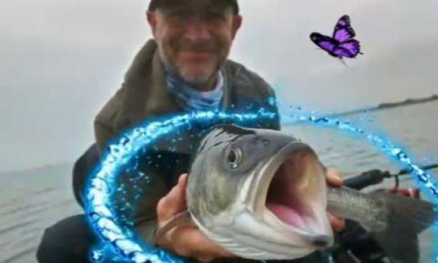 Petition : Stop à la discrimination de pêche de loisir en mer