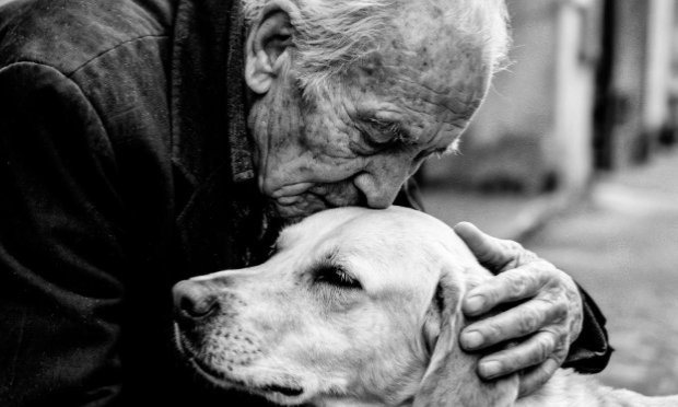 Petition : Non au budget en hausse pour l'immigration payé par le peuple qui travaille dur et qui est étouffé par les impôts et les taxes injustes