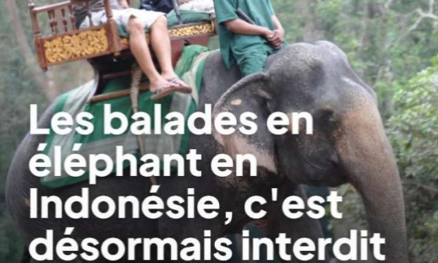Petition : En marche vers une évolution radicale des droits des animaux en France