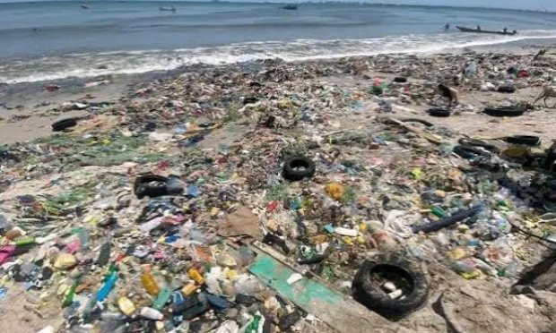 Petition : Pour interdire les emballages plastiques et favoriser des alternatives biologiques