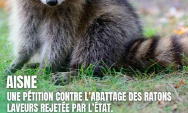 Pétition : En marche vers une évolution radicale des droits des animaux en France