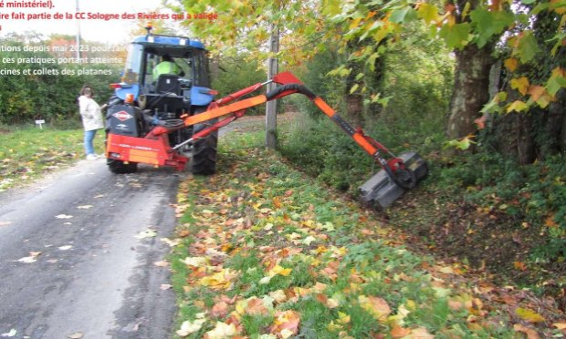 Pétition : Au secours des allées de Platanes à Orcay 41300