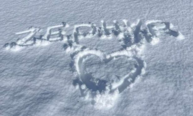 Pétition : Justice pour Zéphyr atrocement torturé, retrouvé agonisant