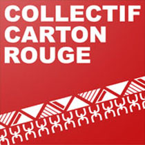 Collectif Carton Rouge - Pétition, Article 158 Loi organique, Polynésie Française