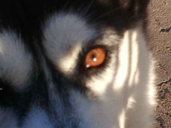 Soutient à Corinne et Olivier Marhuenda