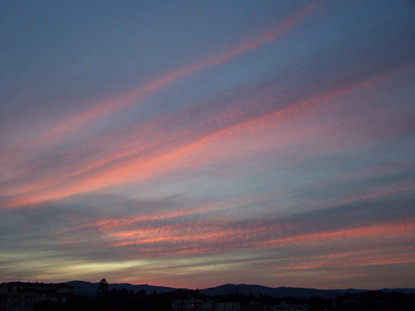 Un Monde Meilleur : Lettre ouverte aux candidats