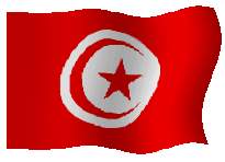 Les TunisienEs de l’étranger doivent participer à l’élection de la future Assemblée Constituante