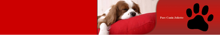 pétition pour la construction d’un parc canin dans la Ville de Joliette