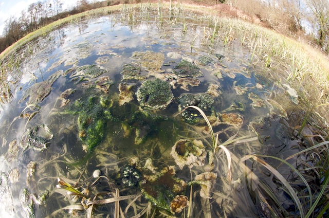 Pour la D&eacute;pollution du Grand Moulin &amp; du Gestas