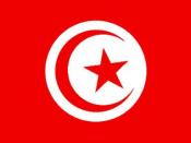 Appel pour un front uni des forces civiles et démocratiques en Tunisie