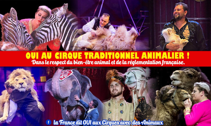 Pour conserver le cirque traditionnel avec animaux en France