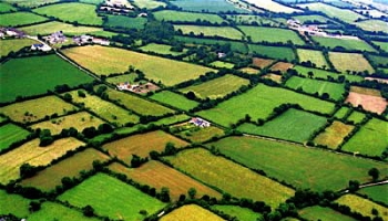 Sauvons le Bocage normand !