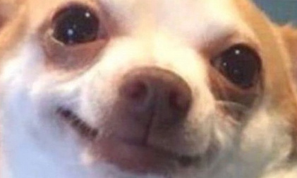 Pour que &laquo;&nbsp;oze&nbsp;&raquo; redevienne pronote