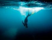 La concurrence fait partie du jeu du commerce, soutenons Net Plongée !