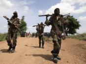 Arrêt des livraisons d'armes et d'équipements à la pseudo ''Hargeisa police'' de la Somalie du Nord