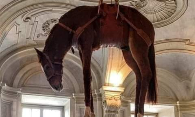 Pétition : Retrait du cheval mort suspendu comme une exposition permanente au château de Rivoli ( Turin, Italie)