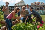 Plaidoyer en faveur des jardins partagés en vue des élections de mars 2014