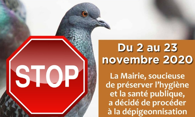 NON au MASSACRE de Pigeons à Asnieres sur Seine (92600)