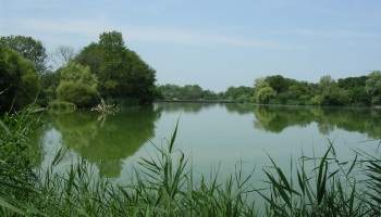 Pour des étangs, rivières et canaux propres !