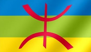 Pour l'introduction de la langue Tamazight dans le moteur de recherche Google