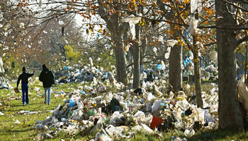 Pour une interdiction de tous les sacs plastiques non biodégradables à Saint-Martin