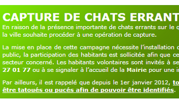 Annulation des captures de chats libres en Gironde à Ambares et Lagrave !