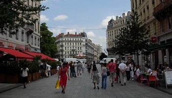 Interdire la mendicité avec des animaux dans le centre-ville de Lyon