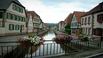 Création d'une Rue Elmar Wolf à Wissembourg
