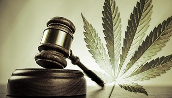 Légalisation du cannabis