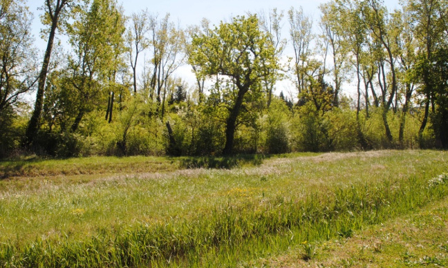 Sorgues ZAC de La Marquette