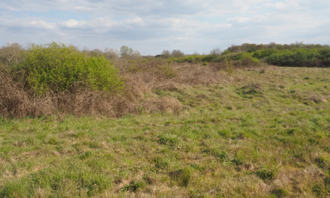 Stop au parc photovoltaîque en milieu naturel à Orléans