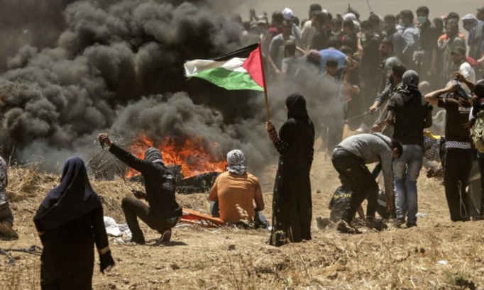 FAIRE BOUGER LES CHOSES EN PALESTINE , APPORTER PLUS DE NOURRITURE , d'aide de La France et d'autres pays .