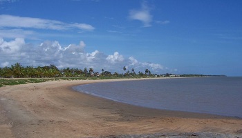 Sauvons la Plage de la Cocoteraie : dites non au Skate Park sur la plage de Kourou !