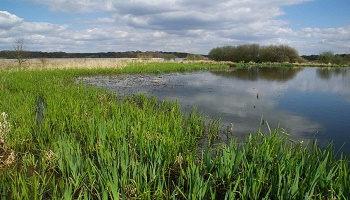 Accès gratuit à l'ile de loisirs de Saint Quentin en Yvelines