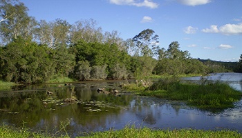 Plaidoyer pour une zone humide qui doit le rester !