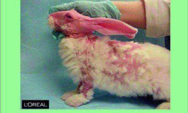 Abolition des produits testés sur les animaux