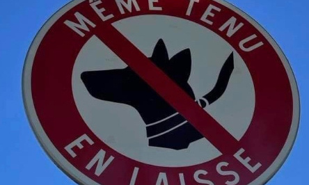 Non à l'interdiction des chiens au lac d'Annecy