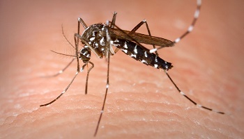 Diffusion de produits anti-moustiques