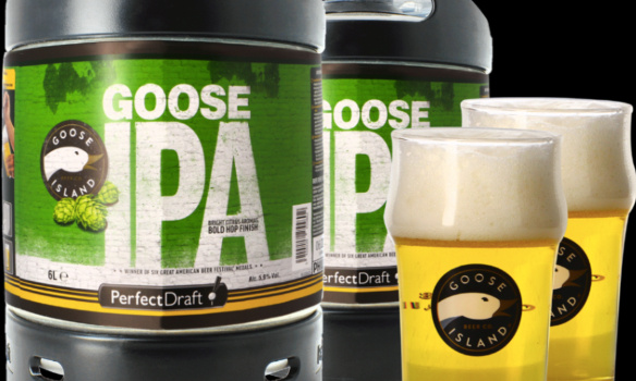 POUR DE LA GOOSE IPA EN FUT DE 6L