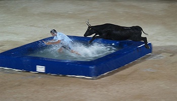 Annuler le jeu  taureau-piscine de saint marcel-d'urfé !