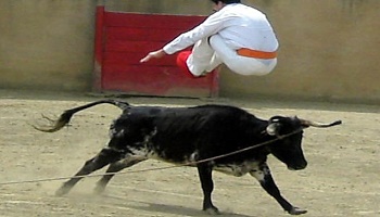 Arrêt de toutes ces courses landaises