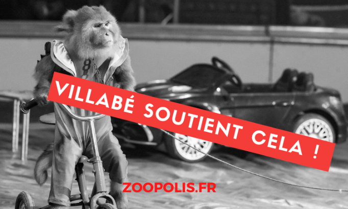 Pour que la Mairie de Villabé (91) s'engage pour l'interdiction des animaux dans les cirques