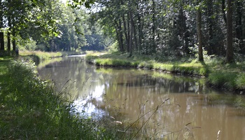 Stop à la saleté des rives à Selles-sur-Cher !