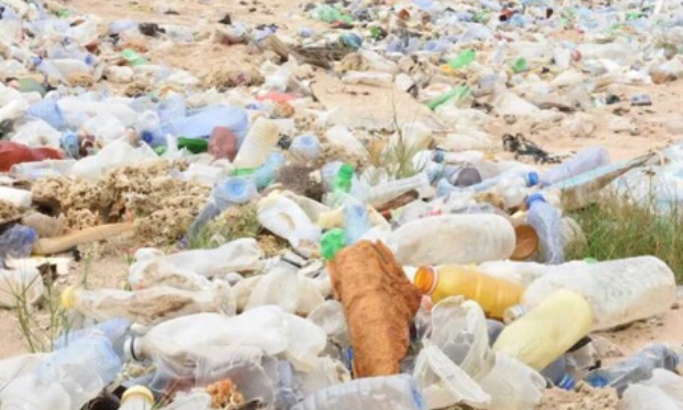 Stop aux d&eacute;chets, notre plan&egrave;te souffre, nous et les animaux aussi.