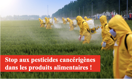 Stop aux pesticides cancérigènes dans les produits alimentaires !
